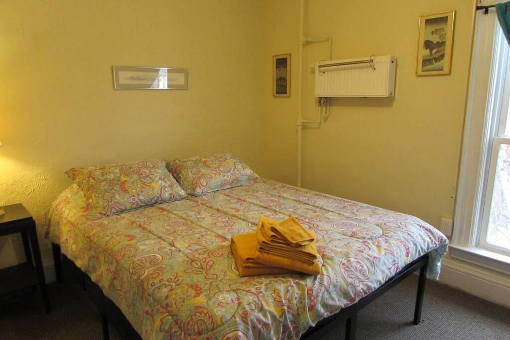 Great Gorge Guesthouse - Walk To The Falls, The Casino And All Downtown Restaurants - Across From The Aquarium Niagara Falls Exteriér fotografie
