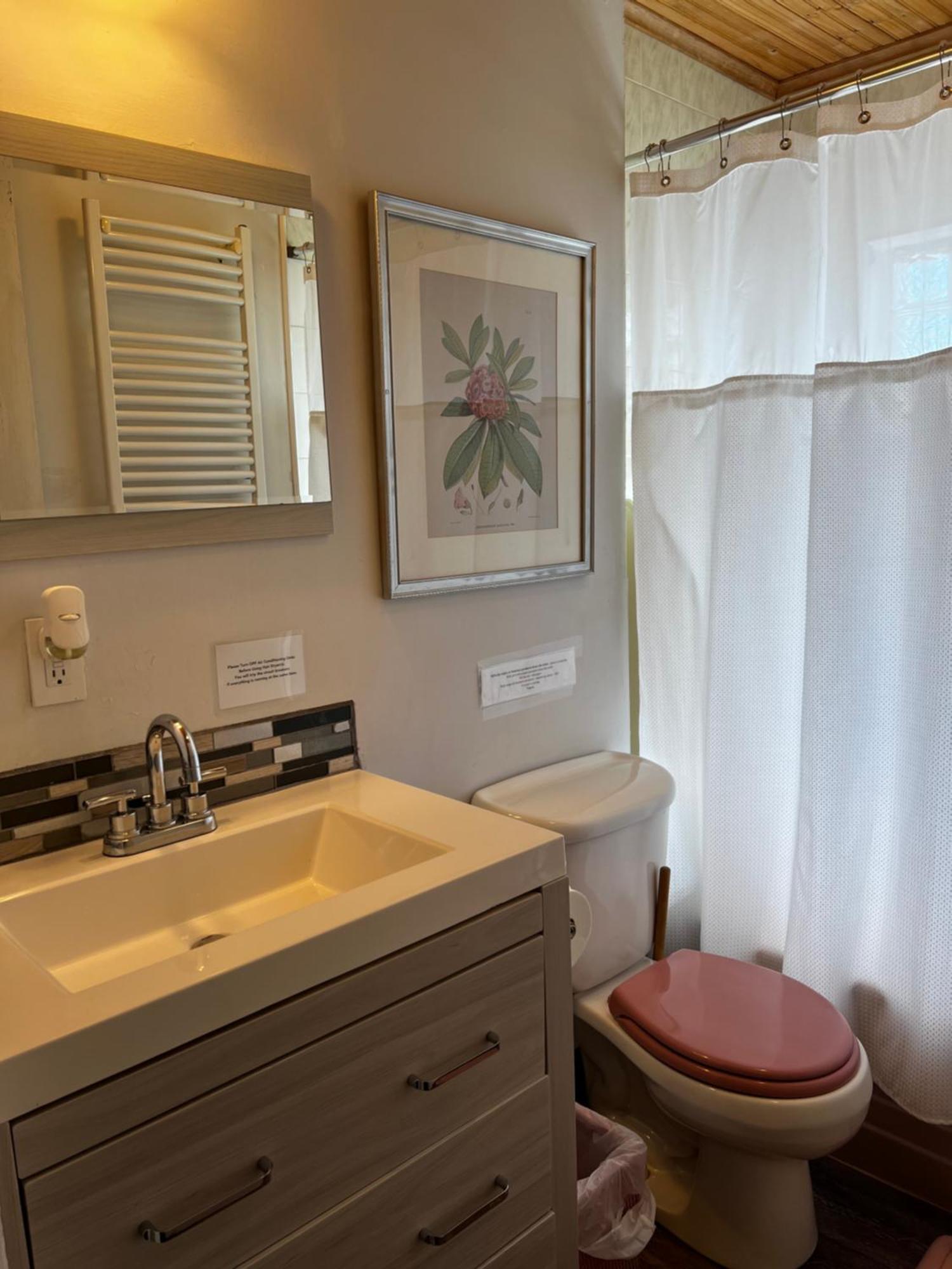 Great Gorge Guesthouse - Walk To The Falls, The Casino And All Downtown Restaurants - Across From The Aquarium Niagara Falls Exteriér fotografie